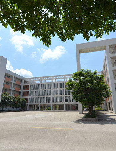 学校